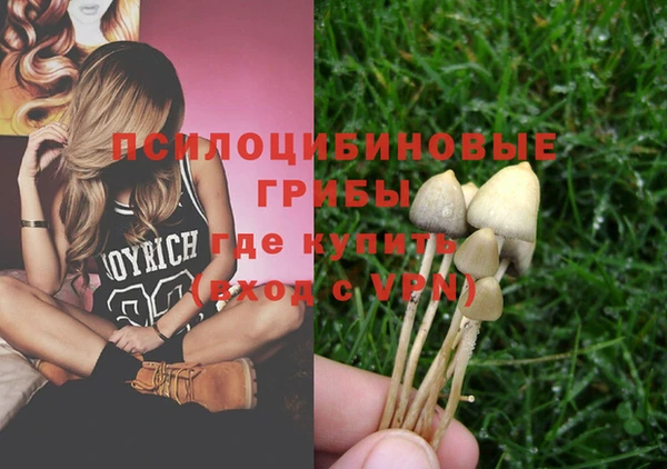 не бодяженный Богородицк